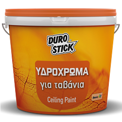 Ceiling Paint