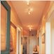 Ceiling Paint