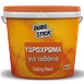 Ceiling Paint