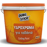 Ceiling Paint